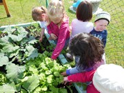 Zahradničíme ve školce